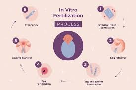 Best IVF Process Step by Step in Rohini