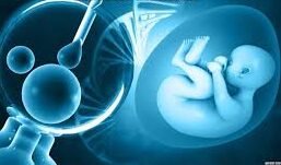 Best IVF Treatment in Rohini